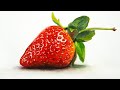 Watercolor painting a fresh strawberry