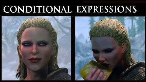 Dynamic Facial Expressions for Skyrim