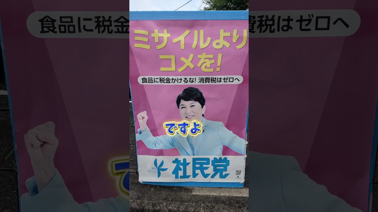 ヤバい社民党 北朝鮮にメッセージ #福島みずほ #工作員 #スパイ #ラサール石井