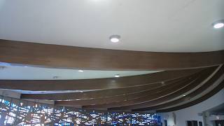 Feb 15th - 10am Sunday Mass - St Anthony of Padua West Harrison NY