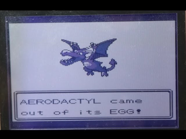 Gen III] Got a Shiny Aerodactyl in Fire Red after 8504 soft resets