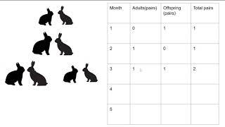 Fibonacci's Problem with Rabbits
