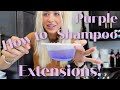 How To PROPERLY Purple Shampoo Extensions! // Wholy Hair