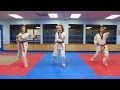Taekwondo Basic Form 1