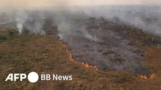 世界最大の熱帯湿原に非常事態 「制御不能の火災」 ブラジル（2024年6月撮影）