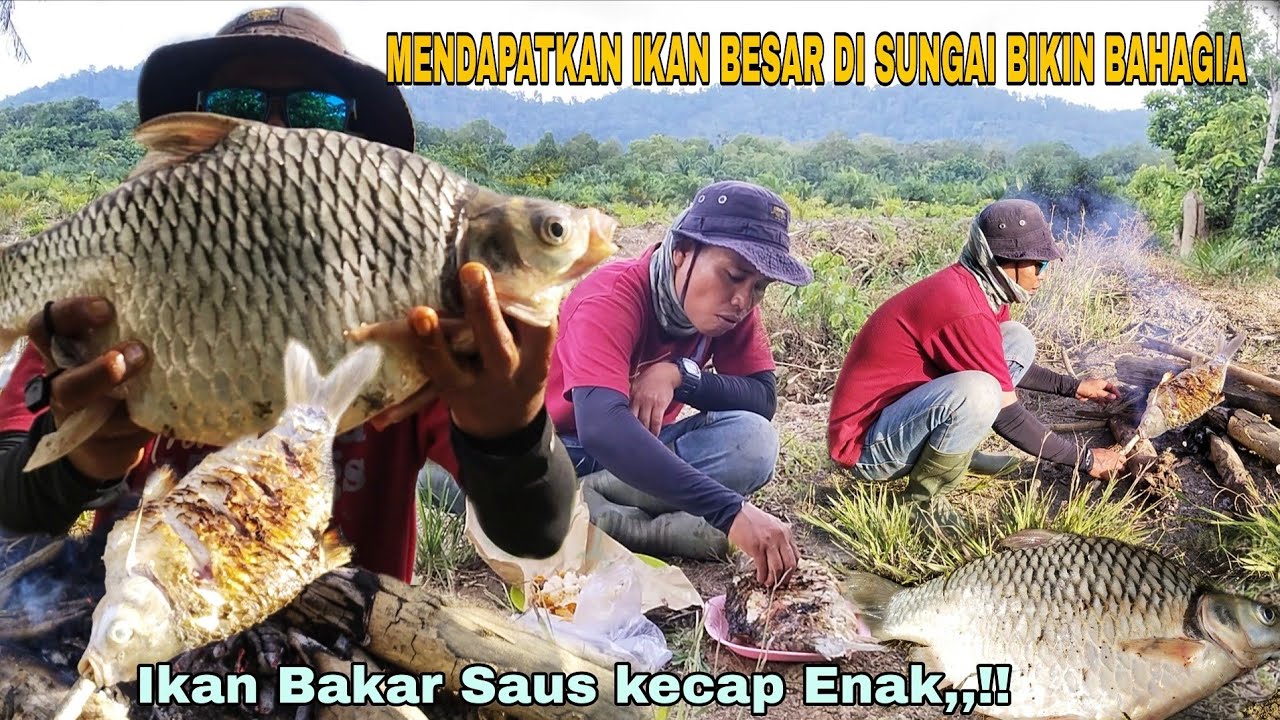 MENDAPATKAN IKAN BESAR DARI SUNGAI BIKIN BAHAGIA,,!! MASAK IKAN BESAR MAKAN SAMPAI KENYANG
