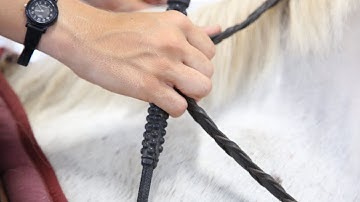 Finding Steady Contact and Effective Rein Cues