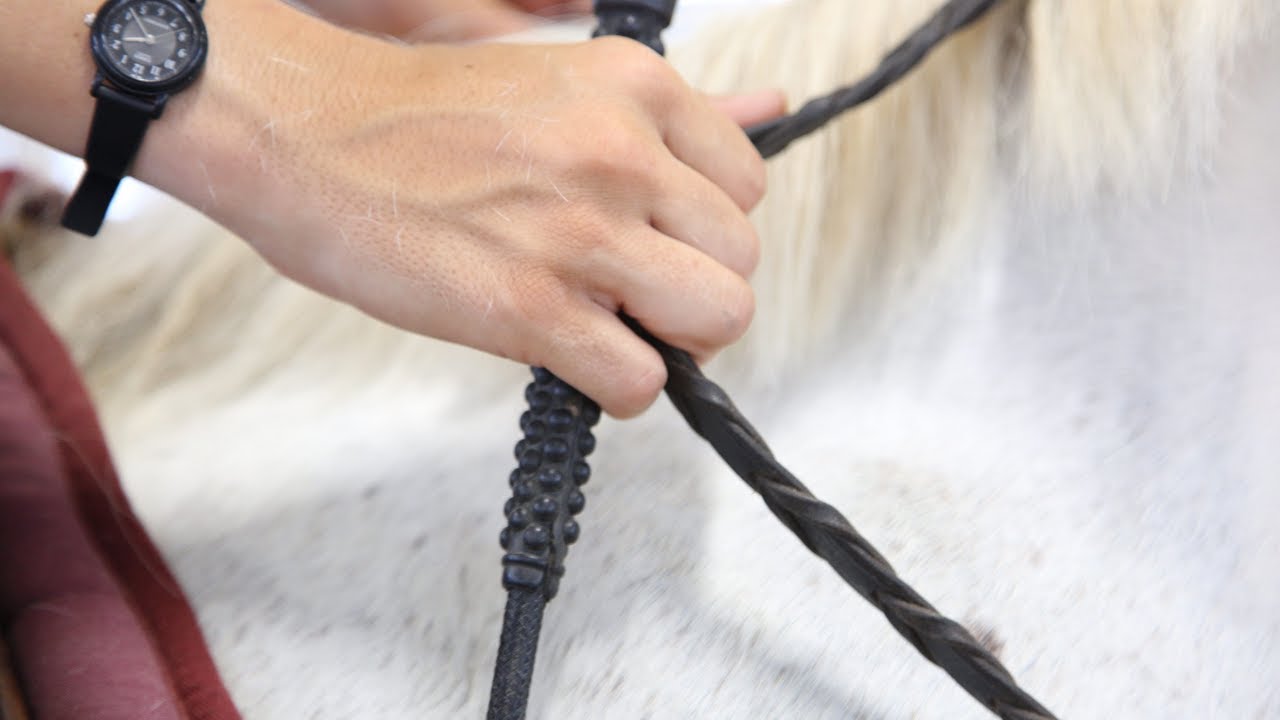 Finding Steady Contact and Effective Rein Cues