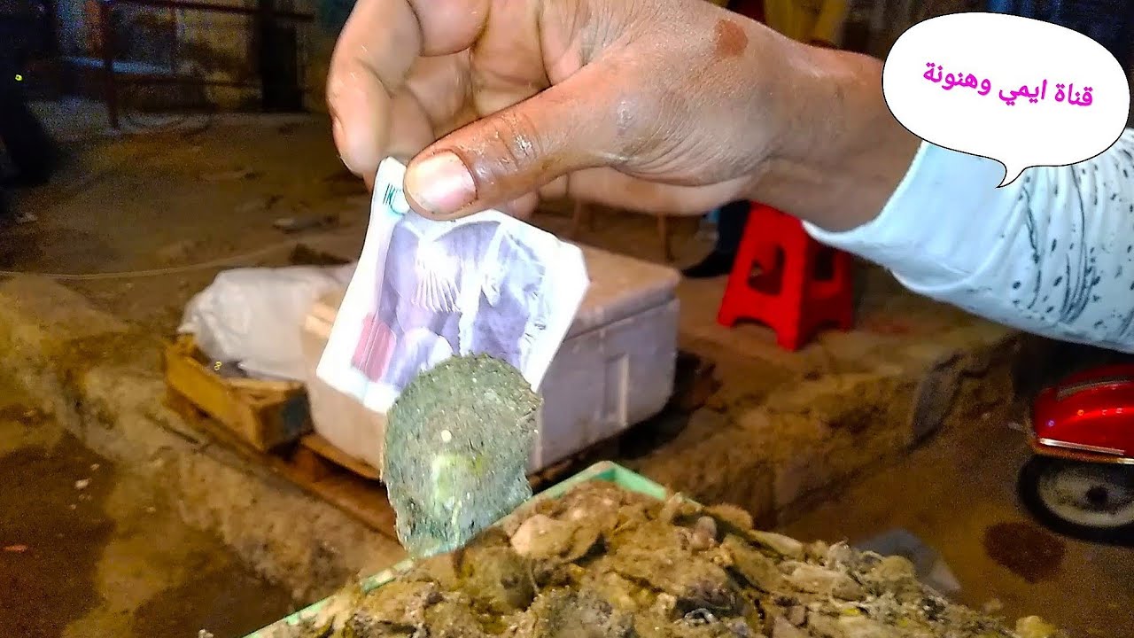 صرمباء صاحي وبيلعب /فواكه البحر الشهيرة في السويس(سيرديا - طماطم البحر)  
Serpentine / Ramba