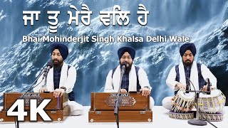 4K | Jaa too merai val hai | Bhai Mohinderjit Singh Khalsa Delhi Wale & Jatha