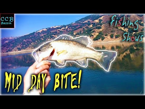 happy fishing day BEST TIME to catch FALL BASS.