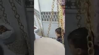 #live #dargah #love #garibnawazkiqawwali #vlog #ajmerdargah #travel #nature #wiladatemoulaali