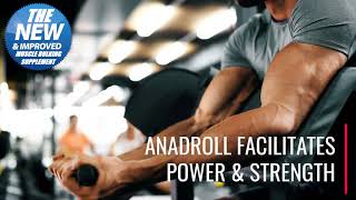 The Muscle Labs USA Bodybuilding Supplements and Stacks