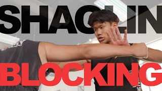 Authentic Shaolin Kung Fu Blocking - Technique Overview