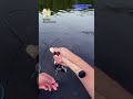 【HUNT0.6g】Hit Scene & ASMR 🎣 JDM Area Trout Fishing #shorts