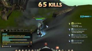 Dragon Nest Bug  (Wonderful Theme Park)