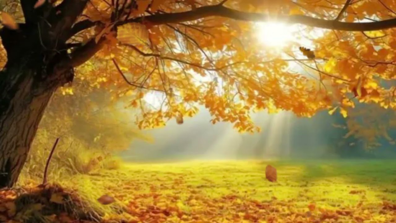 ELE ME SUSTENTOU #music #louvor #deus #gratidão #música 