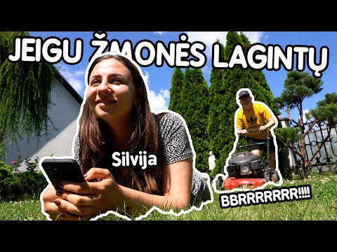 JEIGU ŽMONĖS LAGINTŲ | STIMOMEDIA | Pildyk ofisas