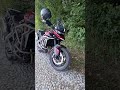 Tiger 900 Rally Pro vs Tiger 900 GT Pro