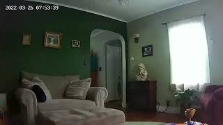 moving shadow caught on a motion sensor cam. screenshot 3
