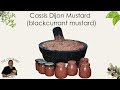 Ref:ethr4bQIewI Cassis dijon mustard (blackcurrant mustard)