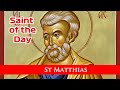 St matthias  saint of the day with fr lindsay  14 may 2022