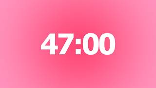 47 Minute Timer 🌺 No Music | 47 Minute Aesthetic Countdown Timer | 47 Minute With Alarm