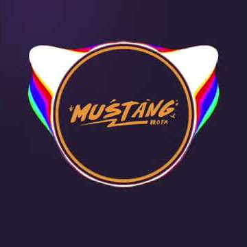 NEW MUSTANG 88 FM