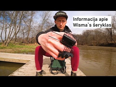 Video: Informacija apie „Twinspur“augalą – kaip auginti „Twinspur Diascia“