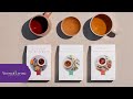 Introducing steeped teas by young living essential oils