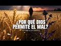 ¿Por Qué Dios Permite el Mal? El Trigo y la Cizaña.