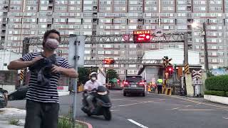 [1110722] 桃園市八德區高城路平交道 177次PP自強號和136次普悠瑪號(由老蕭親自拍攝)