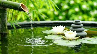 Natural Bamboo Water Garden 🌿 Quiet Water Sounds with Light Piano Therapy for Morning Calm 24/7 screenshot 1