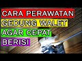 6 Bulan ON Sudah Ada sarang Ketahui Cara Perawatannya