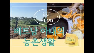 밥 맛있게 먹고 밭 일하러 끌려간 베트남 아내 [#1-4]