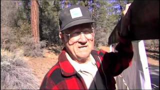 Veterans for Trees