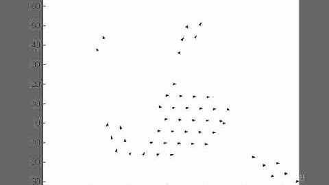 Simulation of 2D flocking - fragmentation