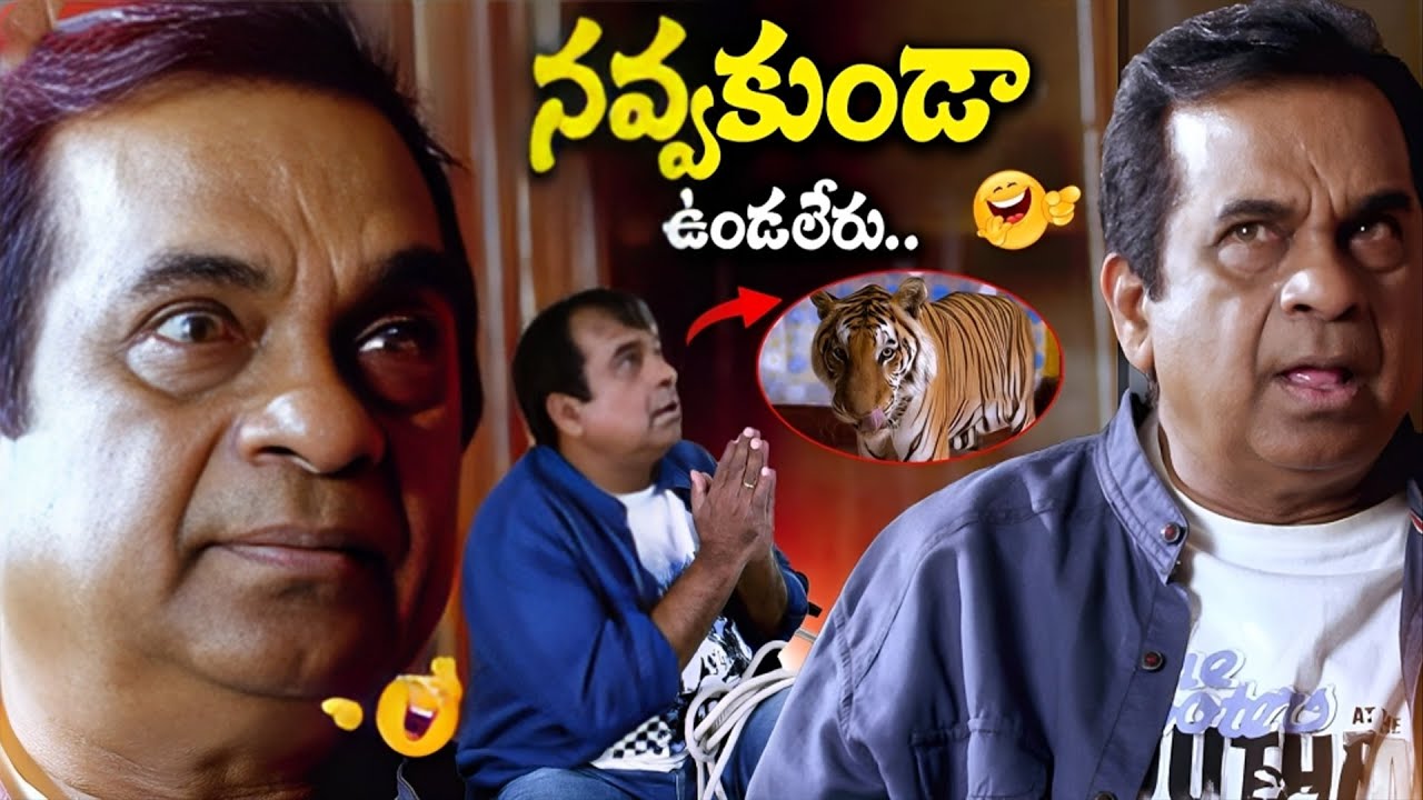Brahmanandam Back To Back Comedy Scenes || Telugu Comedy Scenes || Brahmanandam || iDream