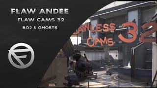 Flaw Cams 32 | by Andee