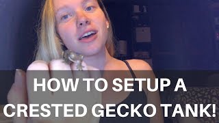 How To Setup Your Crested Geckos Tank
