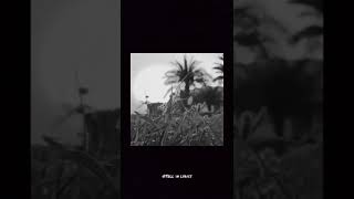 Download Lagu Witt Lowry ft Ava Max - Into Your Arms #music #storymusic #storyig #storywa #shorts MP3