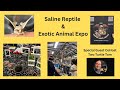 Saline reptile  exotic animal expo