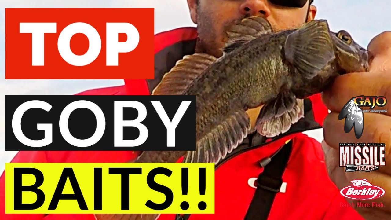 🔨💯Best Dropshot Baits for Smallmouth