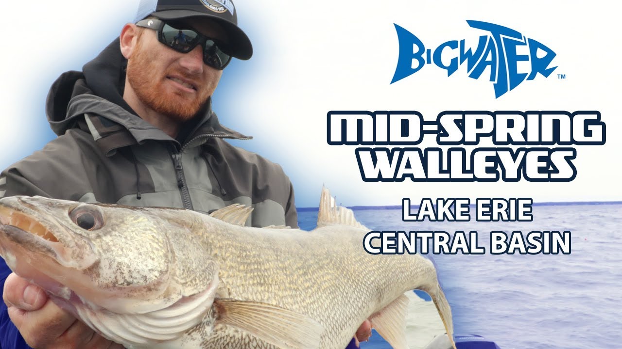 Lake Erie Walleye Fishing - Post Spawn Walleye in The Central Basin 