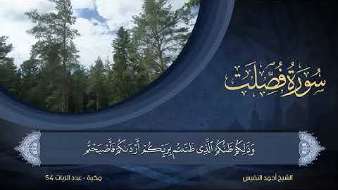 سورة  فصلت  مكتوبة للشيخ أحمد النفيس / المصحف المرتل كاملا
