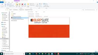 Burp Suite Change Font Size-Theme -High DPI Look in Windows screenshot 3