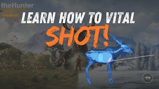 Moose Heart Shot Explained