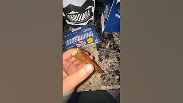 Pot junky rolls a rare vanilla backwood😱🪵 #viral #funny #comedy #troll #smoker