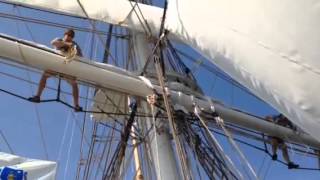 38th Voyage clips
