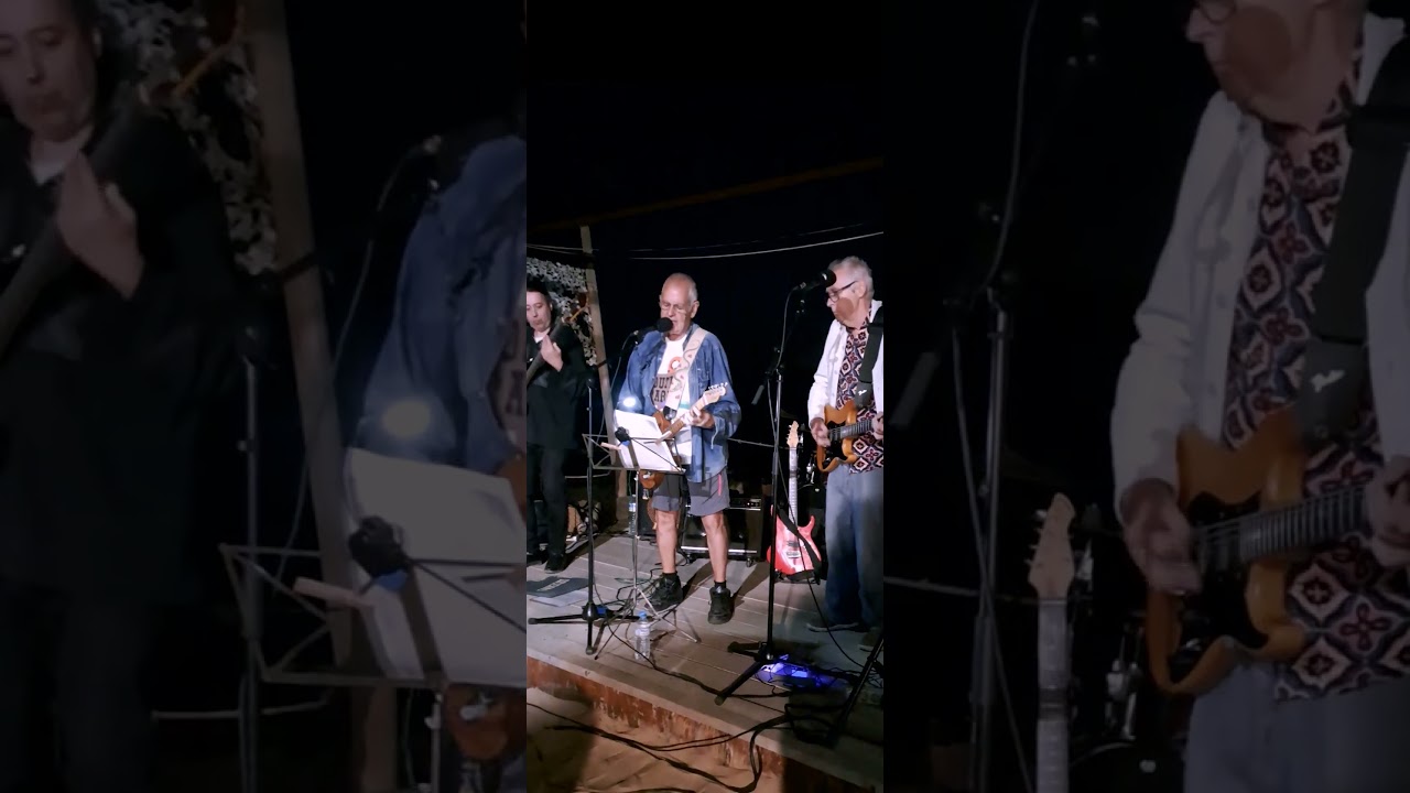 Lay Down Sally (Marcy Levy, Eric Clapton & George Terry)  - extract 